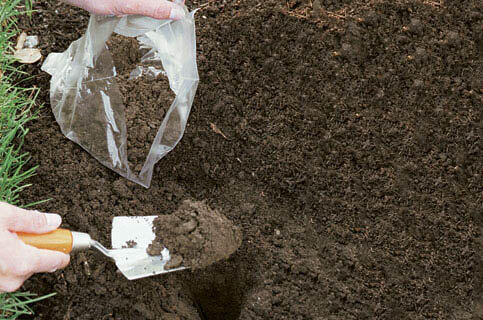 collecting soil to test soil pH