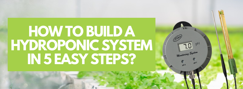 How to build a hydroponic system in 5 easy steps?