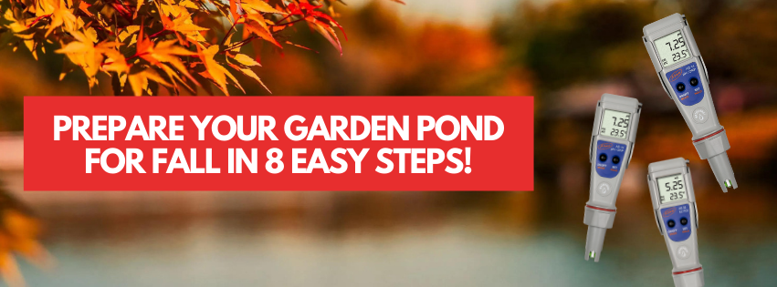 Prepare your garden pond for fall in 8 easy steps!