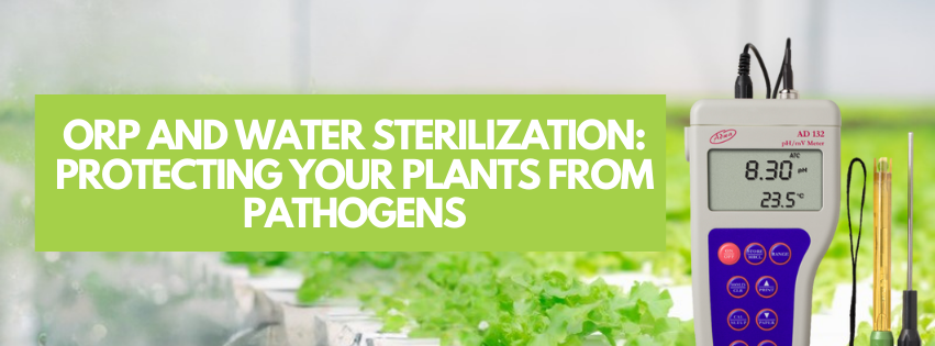 Protecting Your Plants from Pathogens