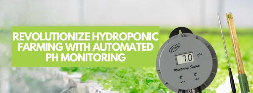 Revolutionizing Hydroponic Farming